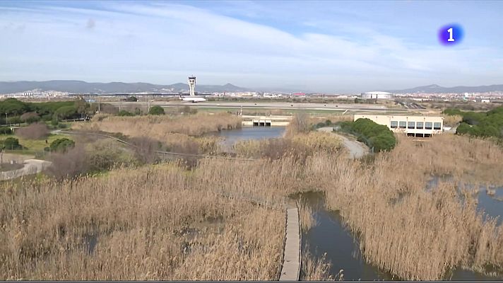 L'Informatiu - Aena anuncia la licitació del pla director per a ampliar l’aeroport del Prat