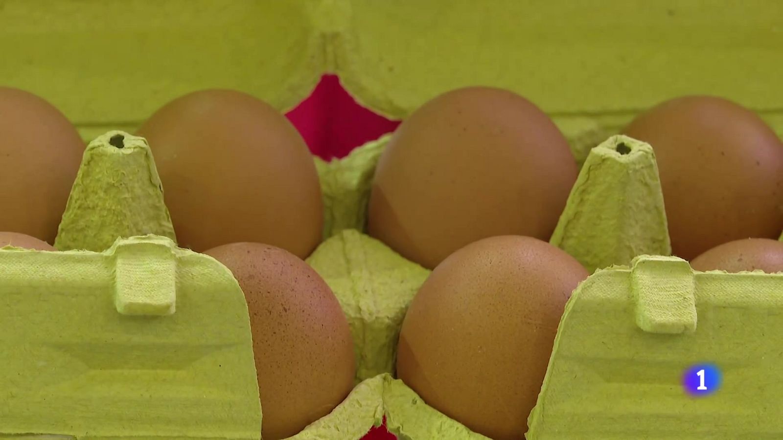 L'Informatiu Comunitat Valenciana 1 - 11/11/25 | Ver