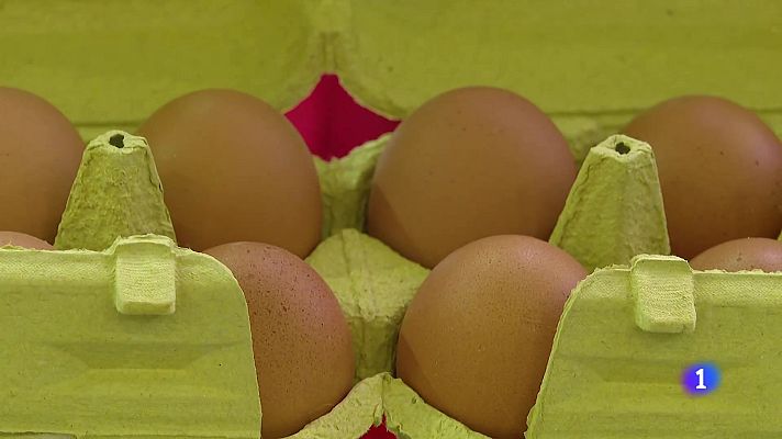 L'informatiu - Comunitat Valenciana - L'Informatiu Comunitat Valenciana 1 - 11/11/25