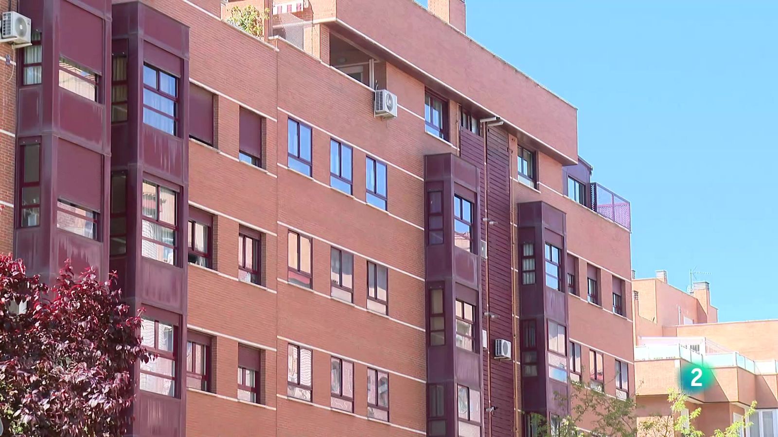 Telecanarias Tarde - 11/11/2025 | Ver