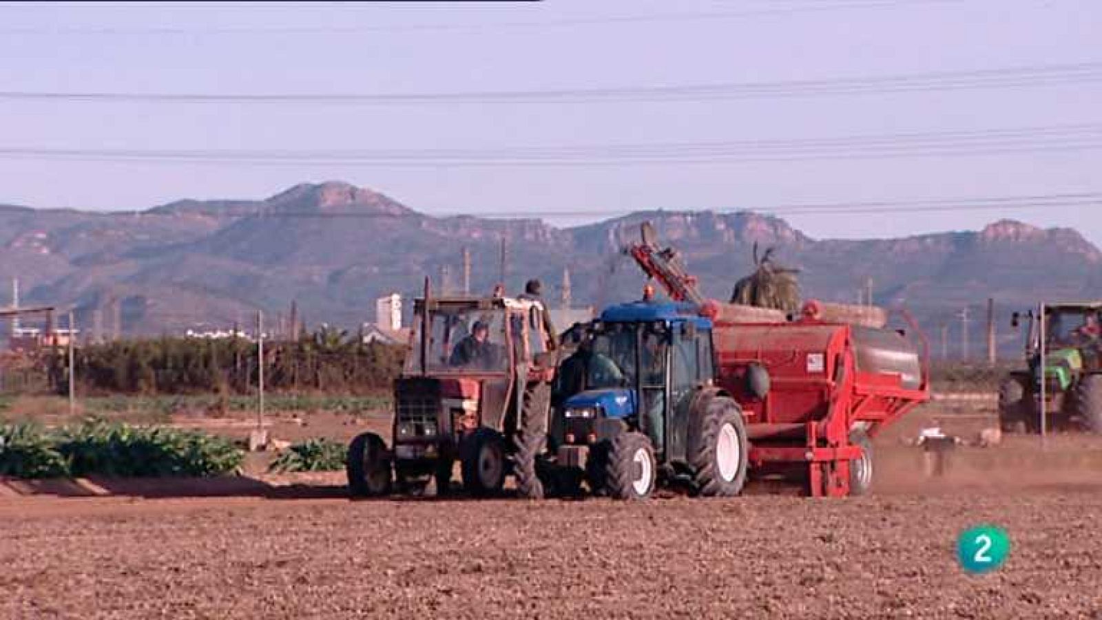 Agrosfera - 02/02/13 - ver ahora