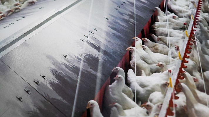 Diario 24 - Diario 24 - 13/11/25