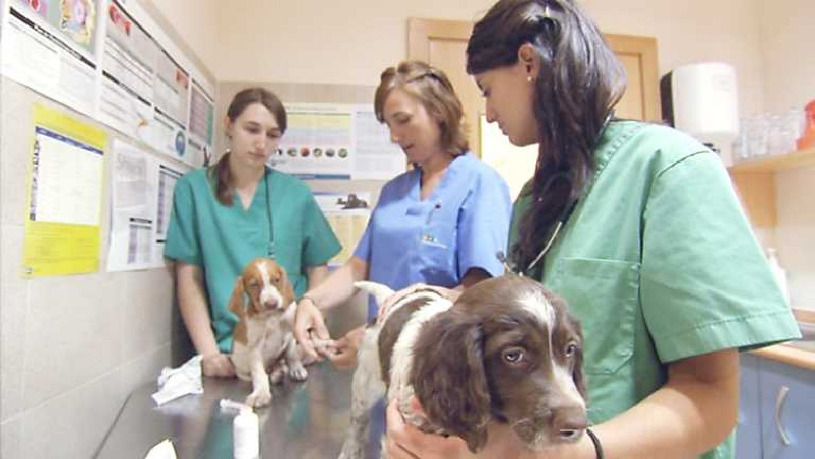 Tenemos chico nuevo en la oficina - Capítulo 11 - ver ahora