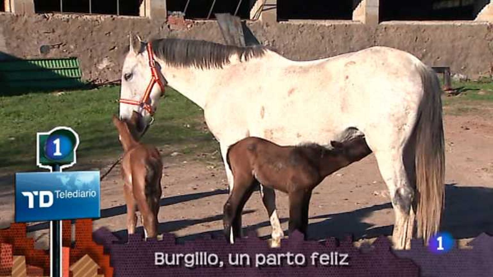 Lo que hay que ver - 03/02/13 - Ver ahora