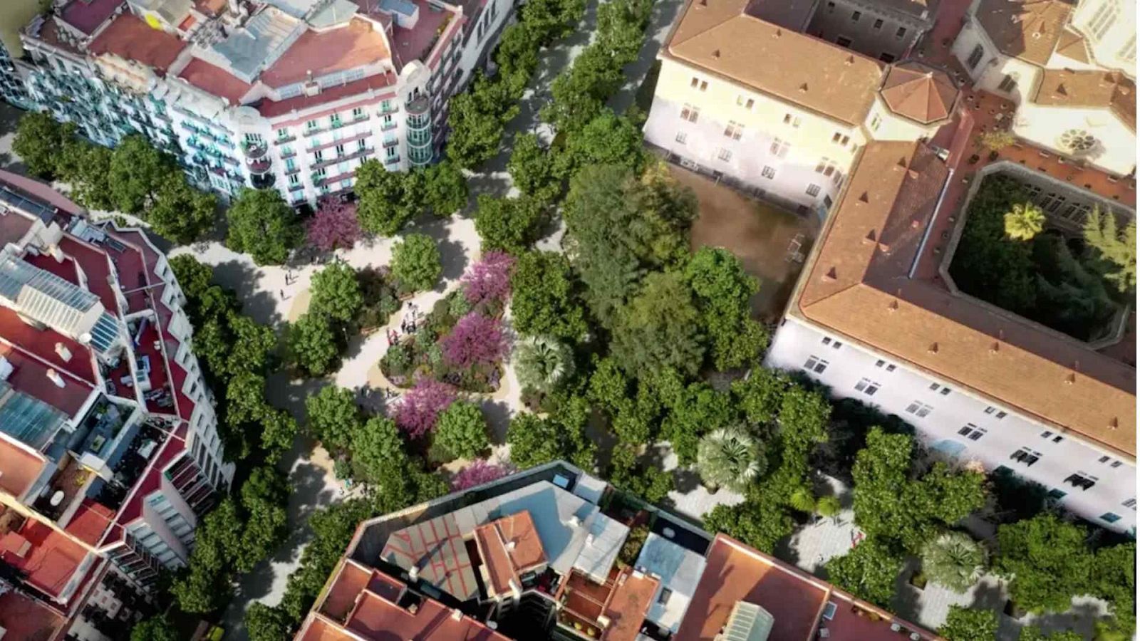 Para todos La 2 - 15/11/25 - Para todos La 2 | Ver