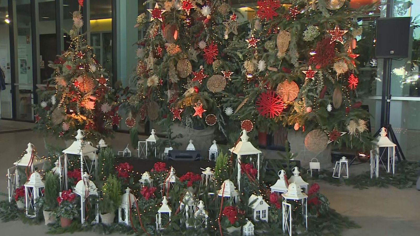 Tendències nadalenques a Mercabarna-flor