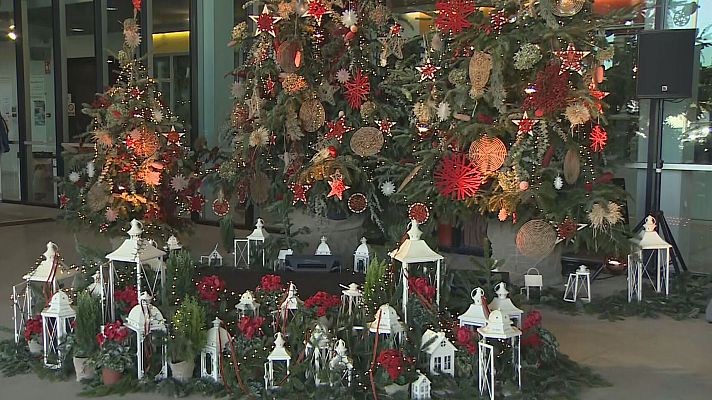L'Informatiu - Tendències nadalenques a Mercabarna-flor