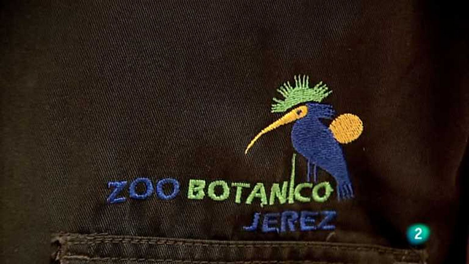 Biodiario - 03/02/13 - ver ahora