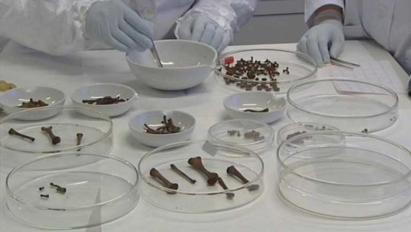 Hay restos en los 54 féretros exhumados en los casos de bebés robados