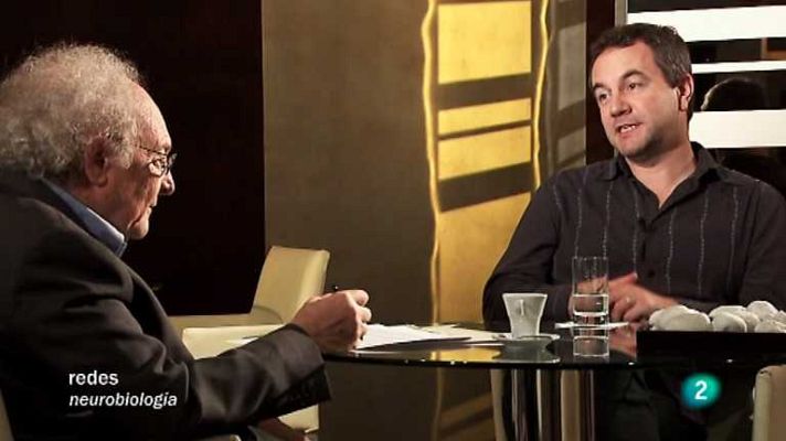 Redes - Entre la juventud y la senectud