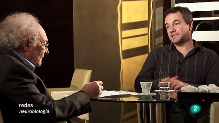 Redes - Entre la juventud y la senectud