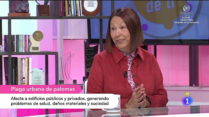 Cerca de ti - Cerca de ti - 17/11/2025