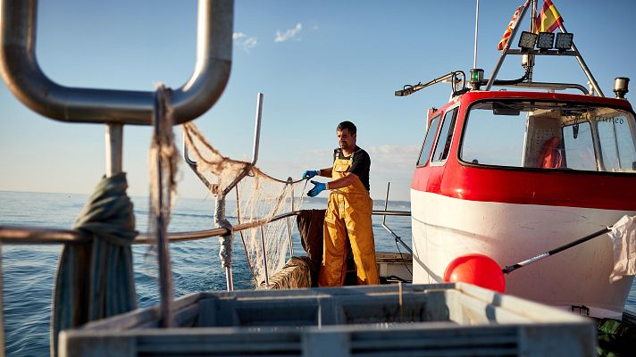 La flota de arrastre del Mediterráneo se queda sin días de pesca - Telediario 1 | Ver