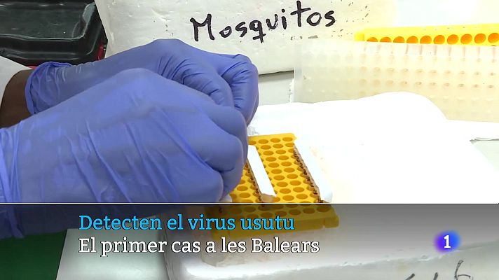 Informatiu Balear - Informatiu Balear en 2' - 19/11/25