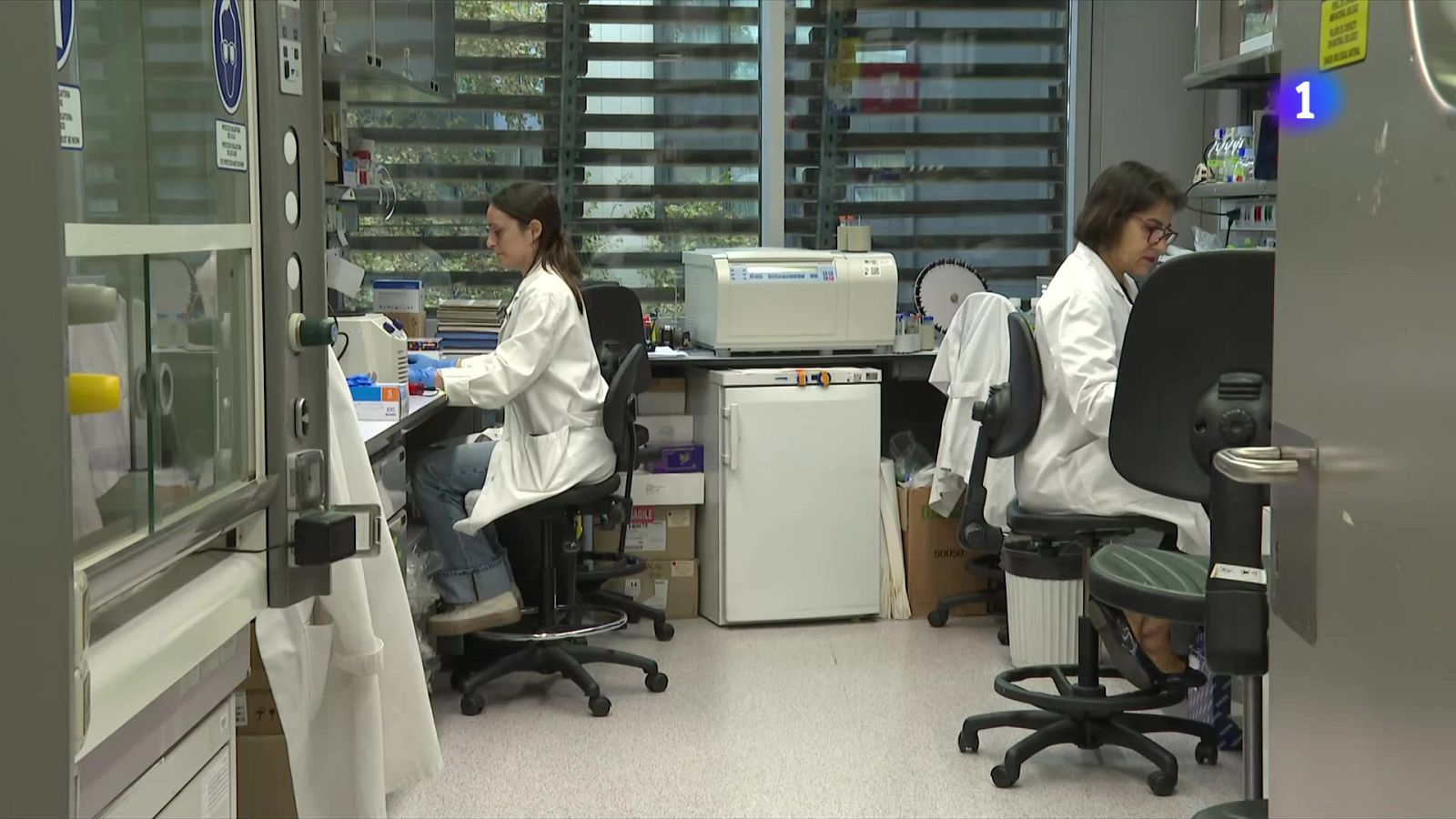 Pas clau cap a nous tractaments contra el sarcoma d’Ewing