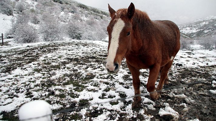 El tiempo - Seis comunidades en aviso naranja por nieve y oleaje
