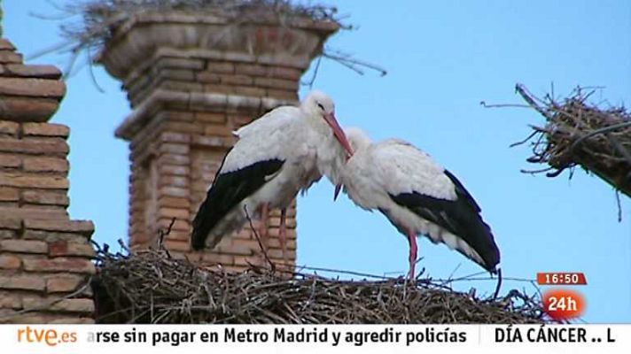 España en 24h - España en 24 horas - 04/02/13