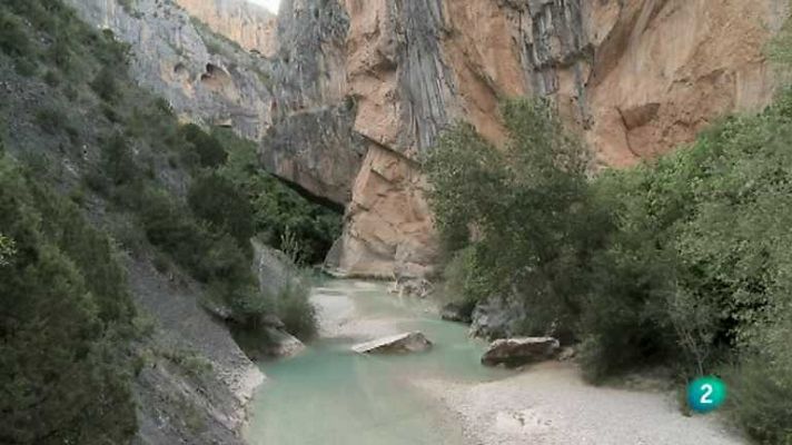 Biodiario - Biodiario - 04/02/13