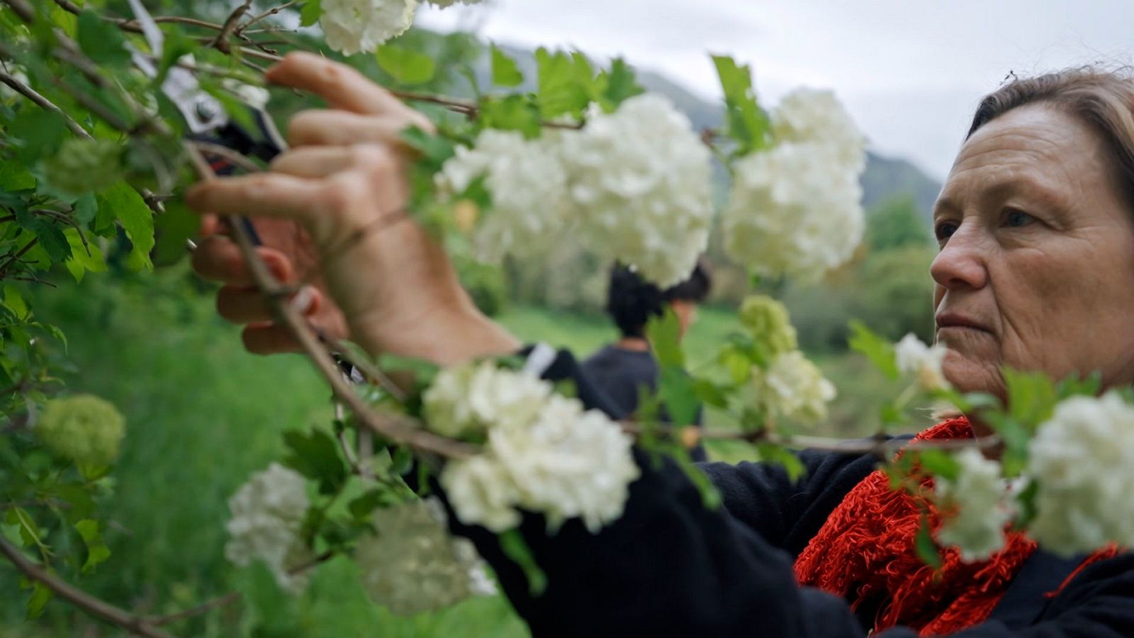 Yo soy de formación profesional - Cantabria - Yo soy de Formación Profesional | Ver