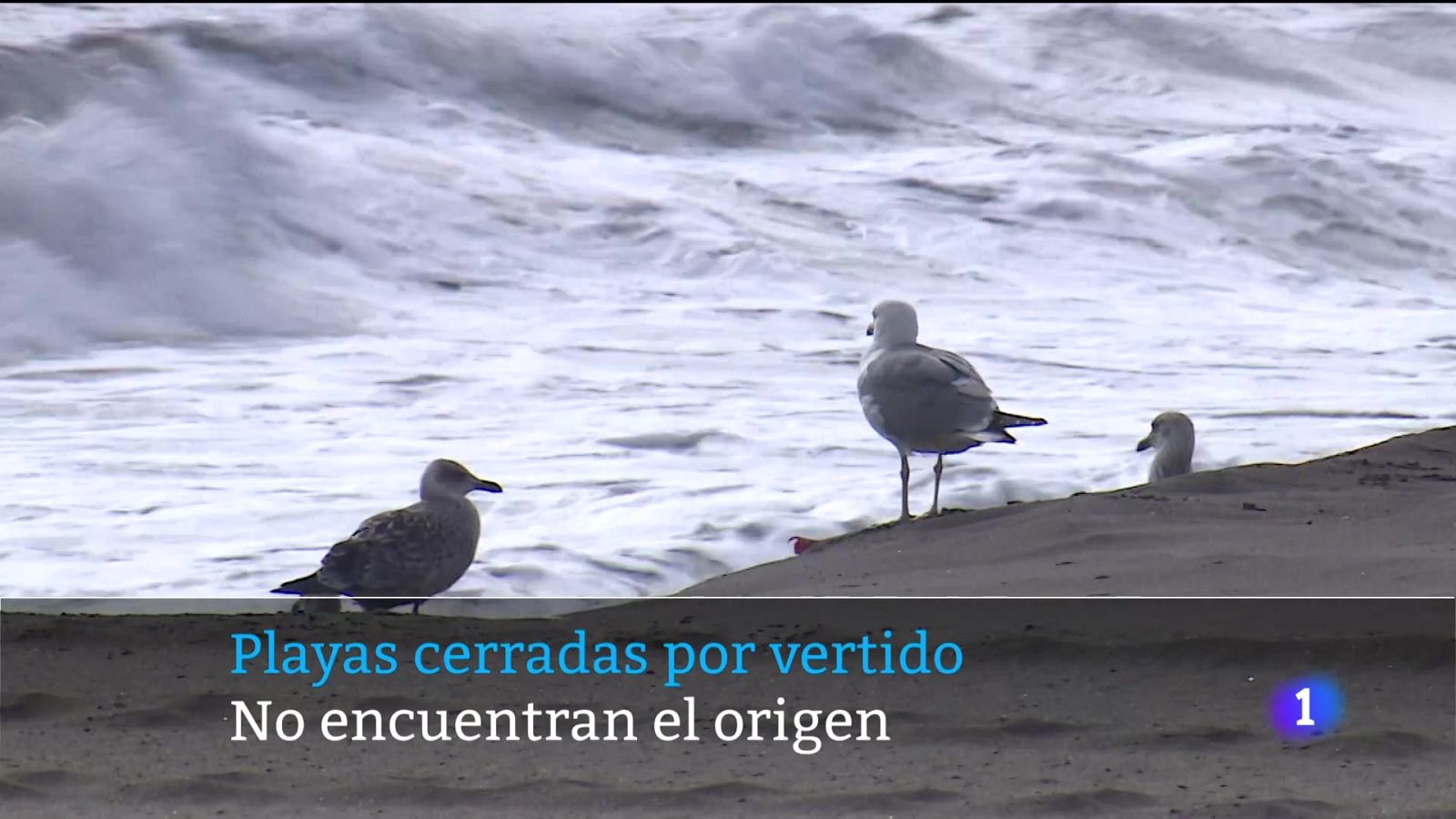 Canarias en 2' - 22/11/2025 | Ver