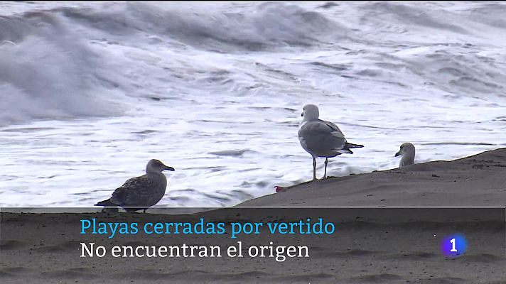 Telecanarias - Canarias en 2' - 22/11/2025