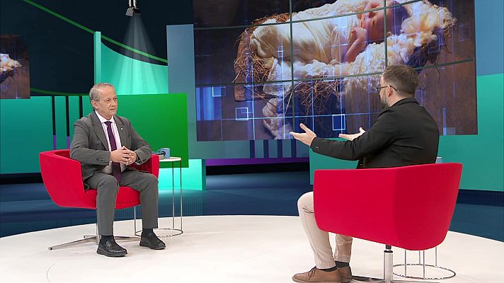 Buenas noticias TV - El nacimiento de Jesús: llegada