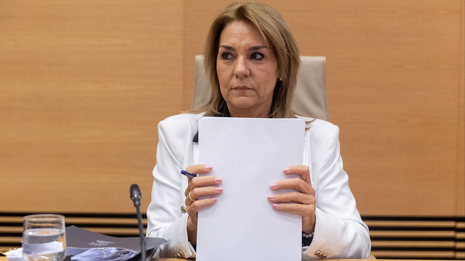 Camarero defiende que el sistema de teleasistencia funcionó el día de la dana - Telediario 1 | Ver