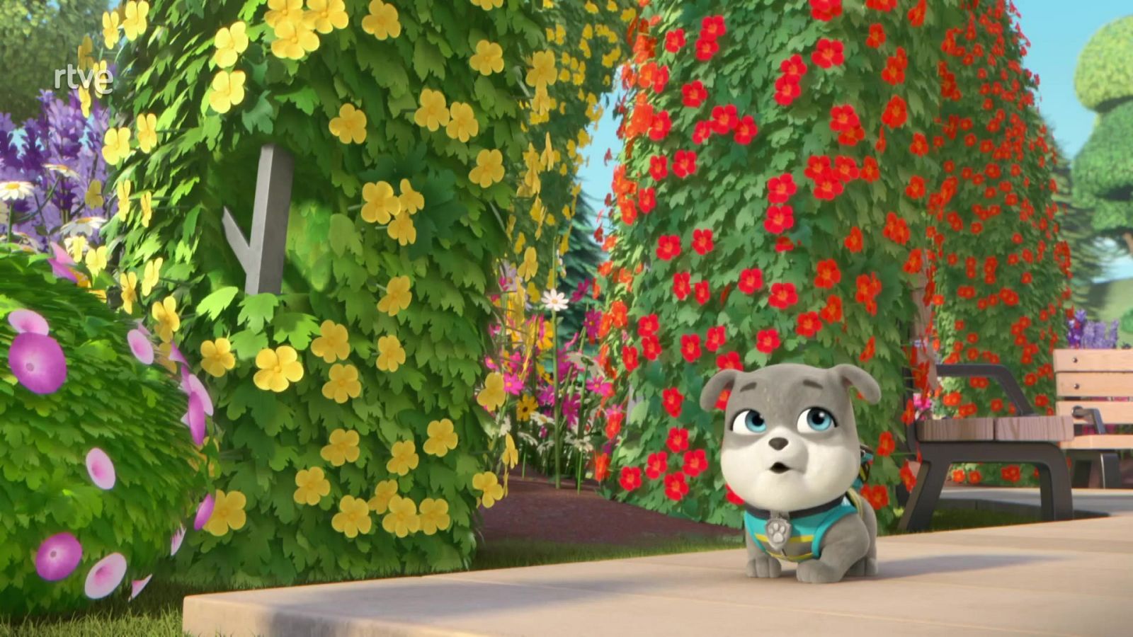 El equipo construye un mariposario - Equipo Rubble | Ver