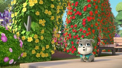 El equipo construye un mariposario - Equipo Rubble | Ver