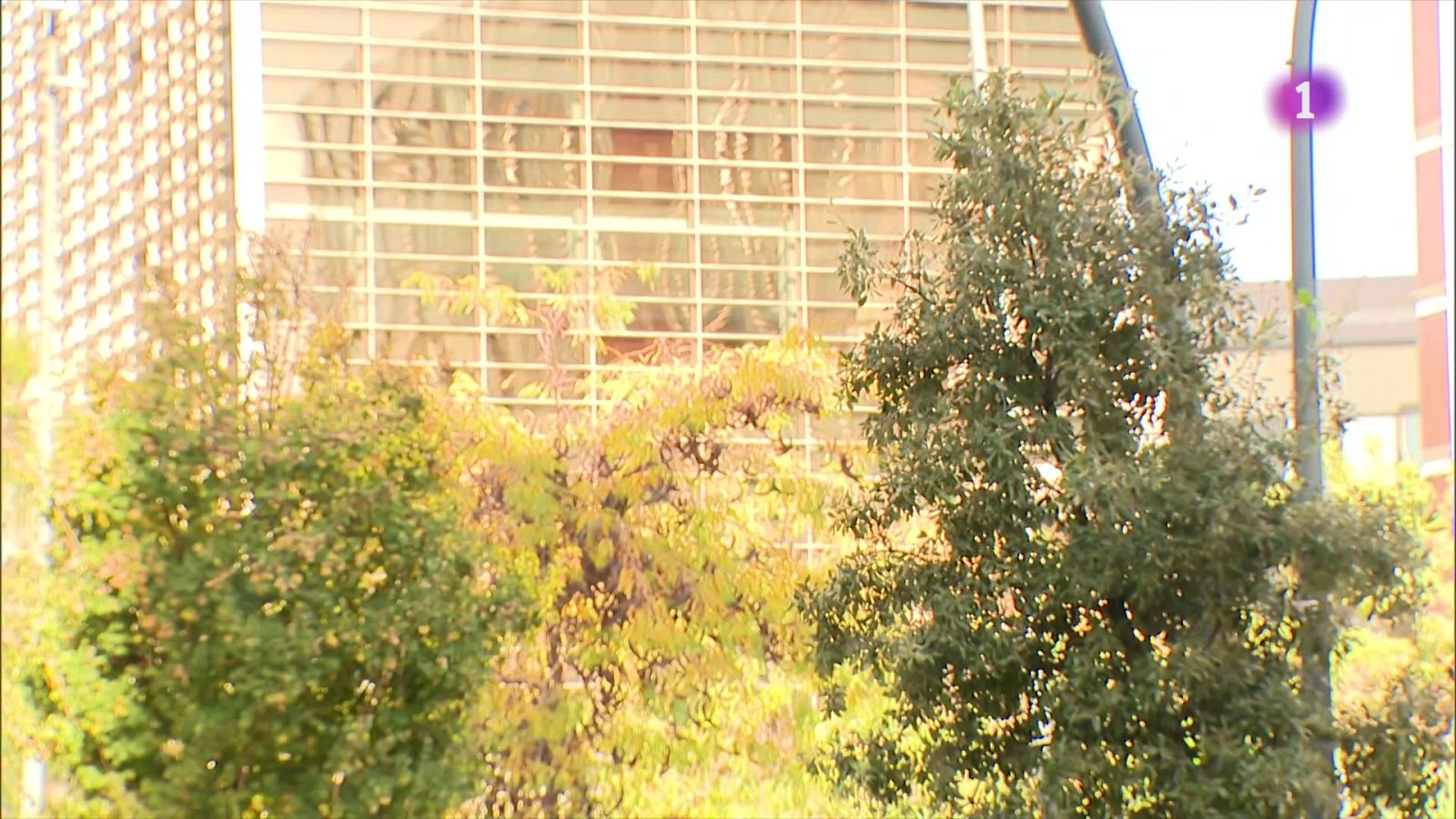 Les víctimes de violència masclista denuncien que no els lloguen pisos