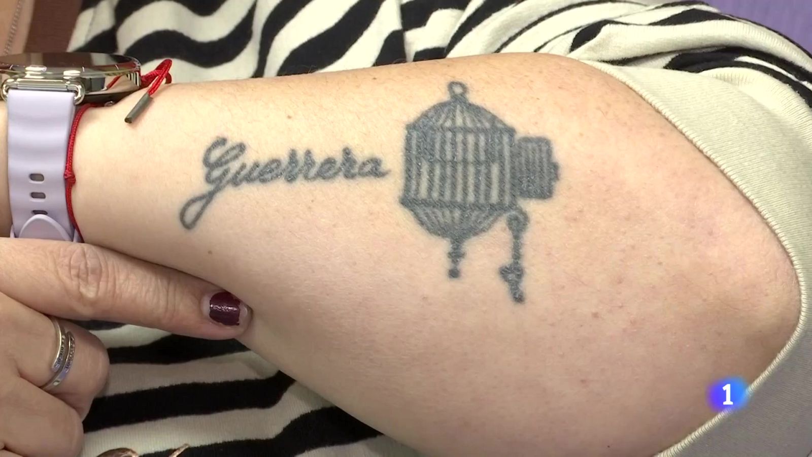 Telenorte 2  País Vasco 25/11/2025 | Ver