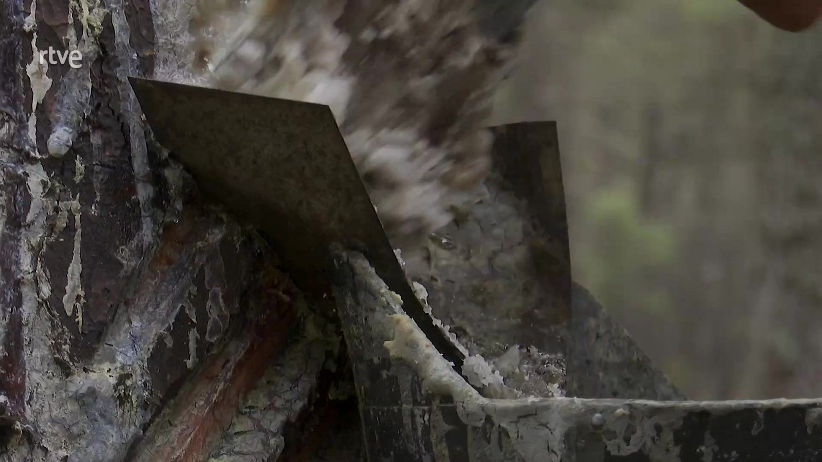 Escuela de resineros - Aquí hay trabajo | Ver