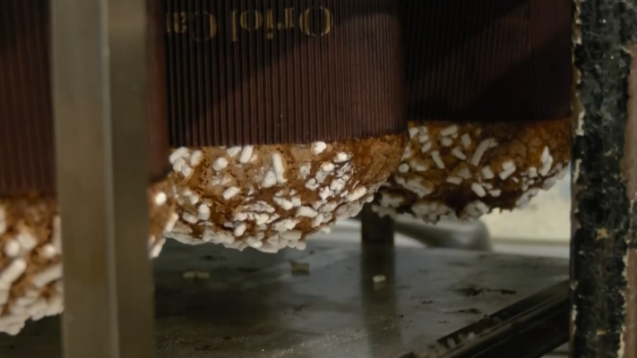 Aquí la Terra - El milllor panettone artesà