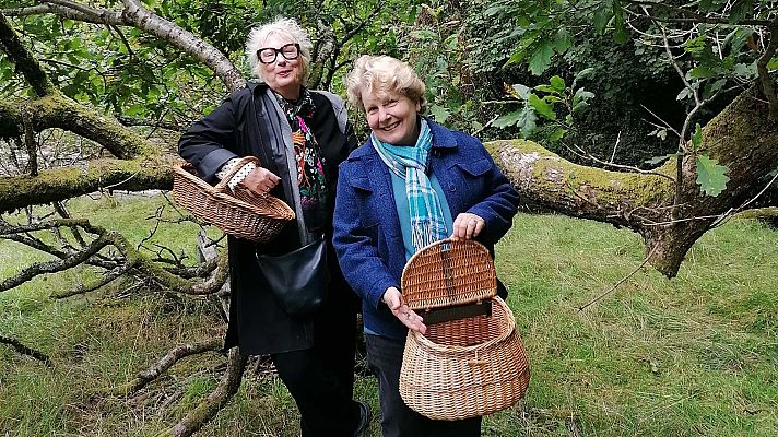 Escapadas extraordinarias - Gales con Jenny Eclair