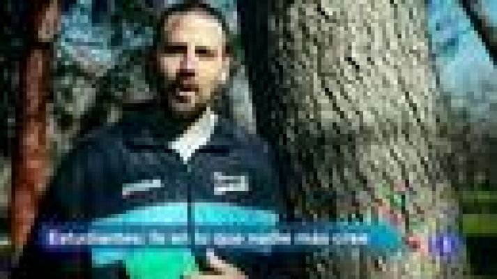 Telediario 1 - La fe del Estudiantes en la Copa