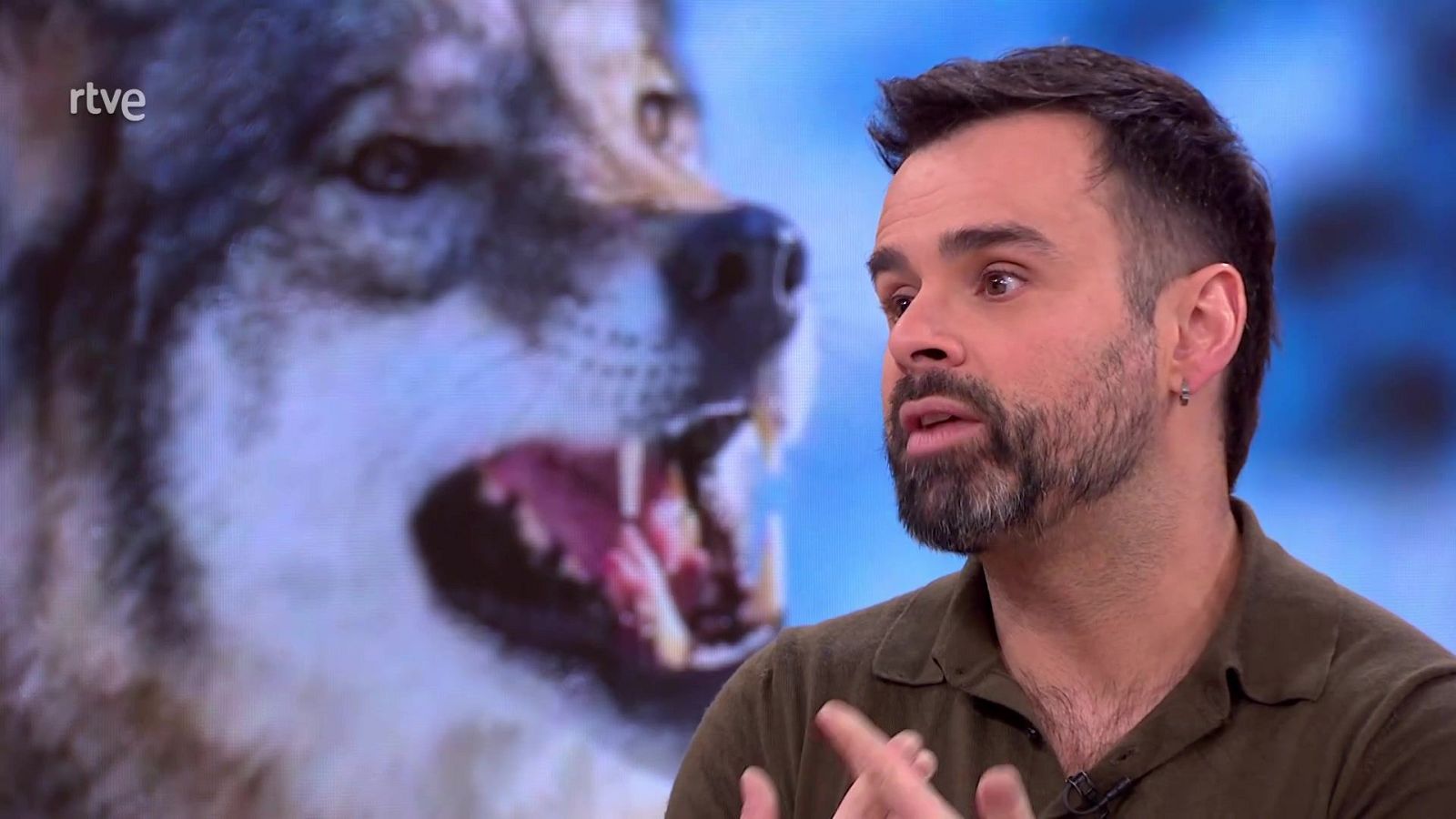 La aventura del saber - 27/11/25 - La aventura del Saber | Ver