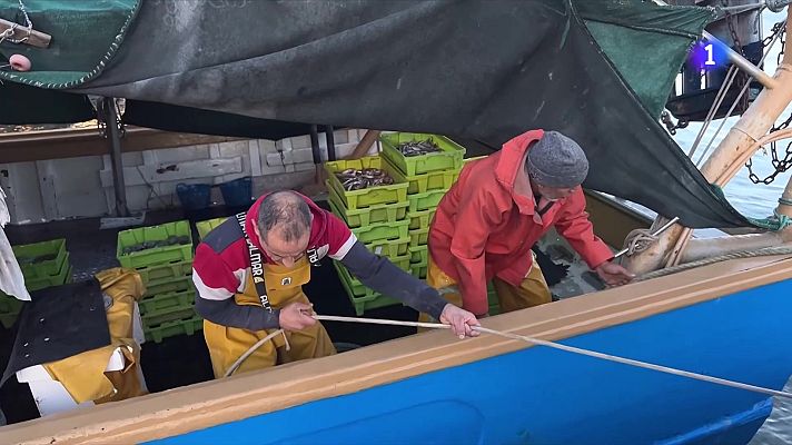 L'Informatiu - El Govern rebutja les noves quotes de pesca d'arrossegament