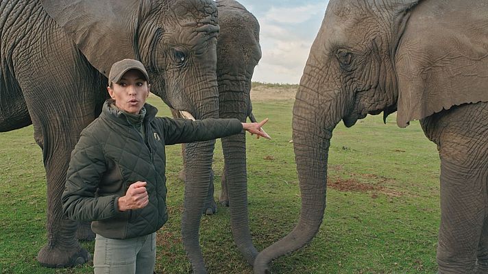 Dra. Fabiola Jones - 'Dra. Fabiola Jones': gran estreno, esta noche