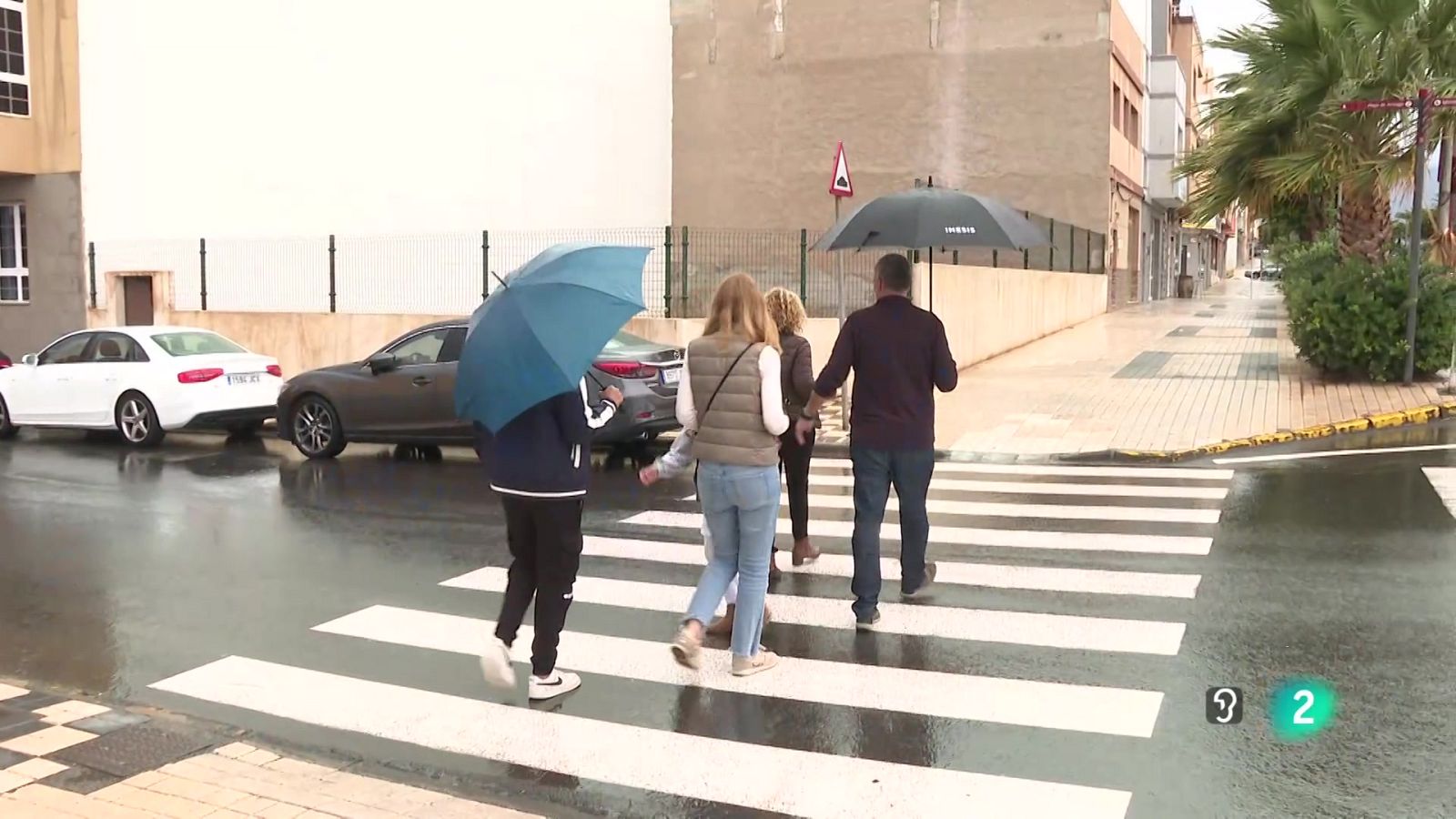 Telecanarias Tarde - 27/11/2025 | Ver