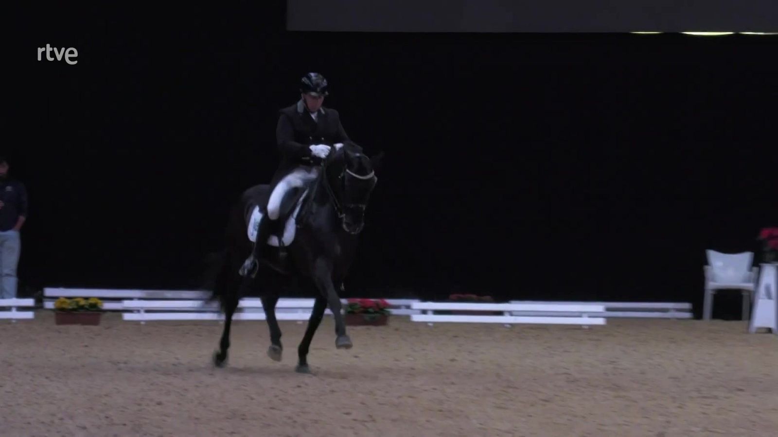 Hípica - Doma SICAB 2025 - Hípica | Ver