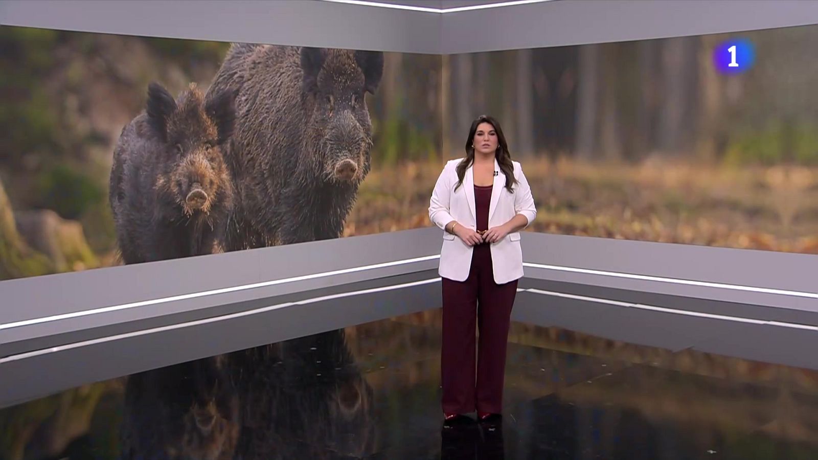 L'Informatiu - 28/11/2025