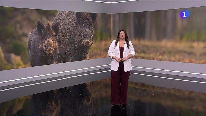 L'Informatiu - L'Informatiu - 28/11/2025