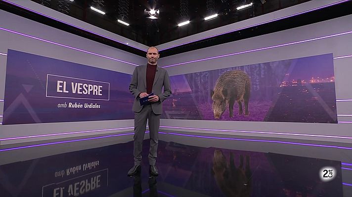 El Vespre - El Vespre - 28/11/2025