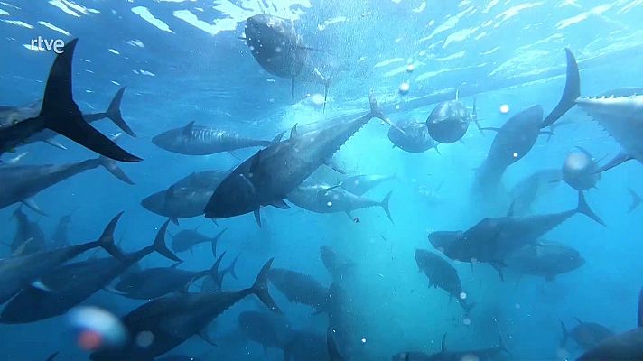 Agrosfera - Agrosfera - 29/11/25