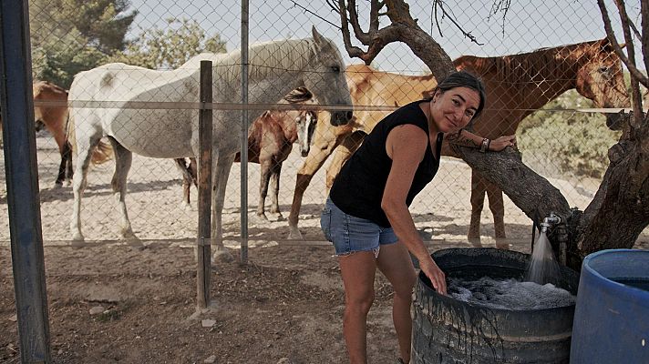 Vuelvo a empezar - Ventas de Huelma, Valbuena de Duero, Madrigal de La Vera