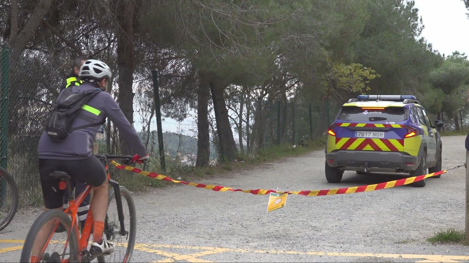 Feina intensa per evitar la propagació de la pesta porcina