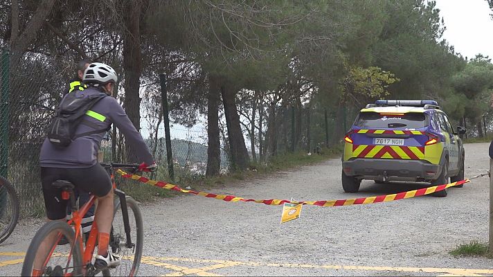 L'Informatiu - Feina intensa per evitar la propagació de la pesta porcina