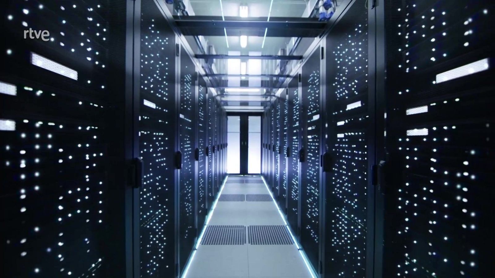 El escarabajo verde - Sed digital - El escarabajo verde | Ver