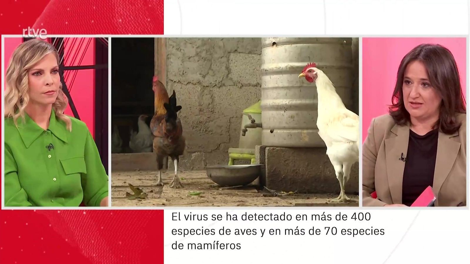 Elisa Pérez Ramírez. Gripe aviar | Ver