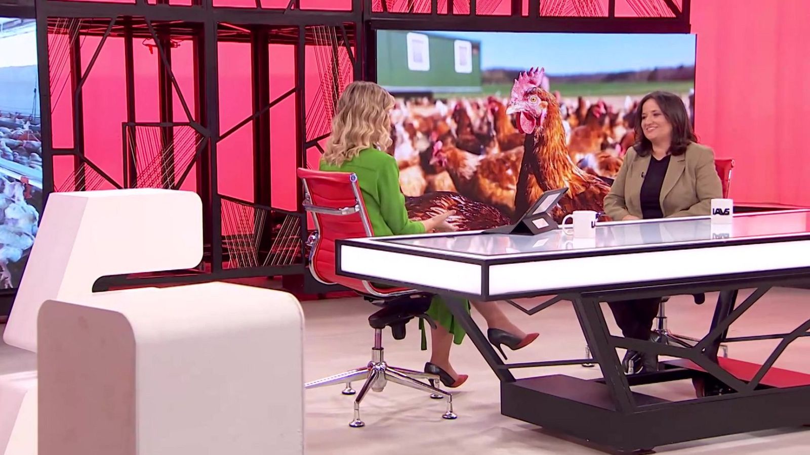 La aventura del saber - 01/12/25 - La aventura del Saber | Ver